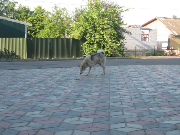 IMG_0677