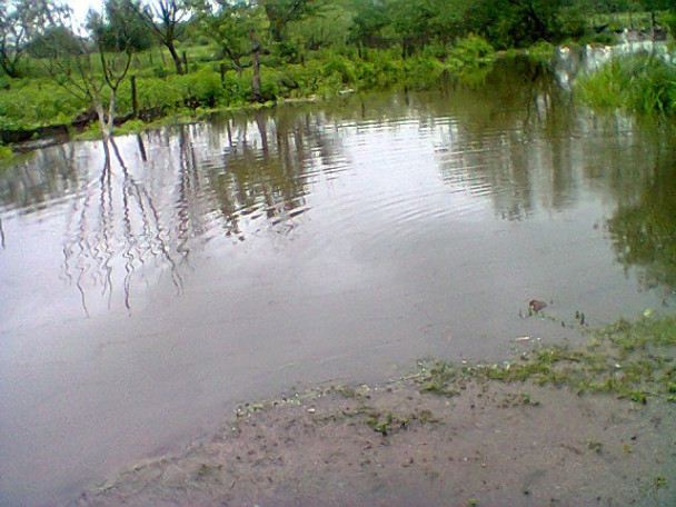 getImage6