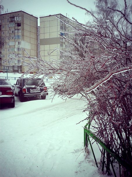 Зимовий пейзаж3