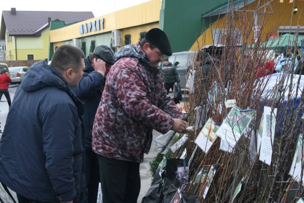 У Квасилові ярмаркували3