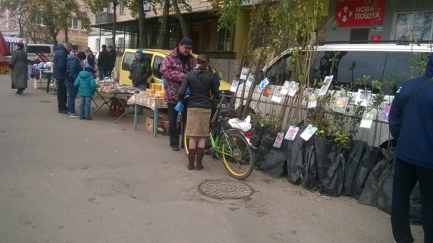 silhospvyrobnyky-zavitaly-na-yarmarok-u-kvasyliv2