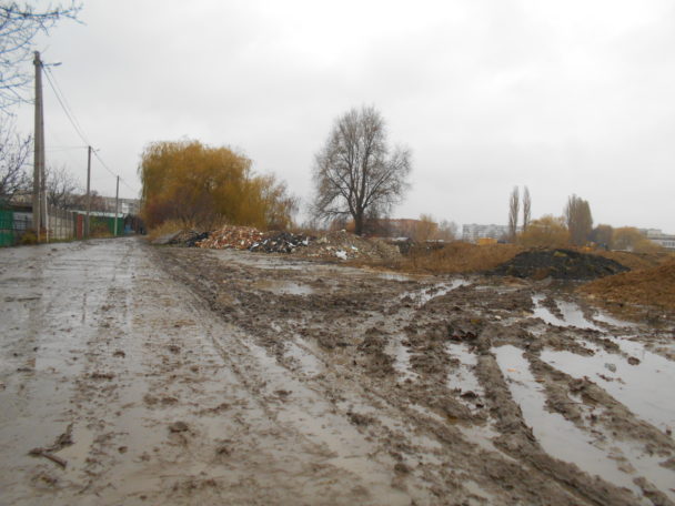 na-vulytsi-zelenij-u-kvasylovi-voda-zmishalasya-z-bahnyukoyu2