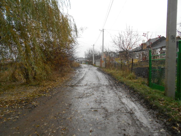 na-vulytsi-zelenij-u-kvasylovi-voda-zmishalasya-z-bahnyukoyu3